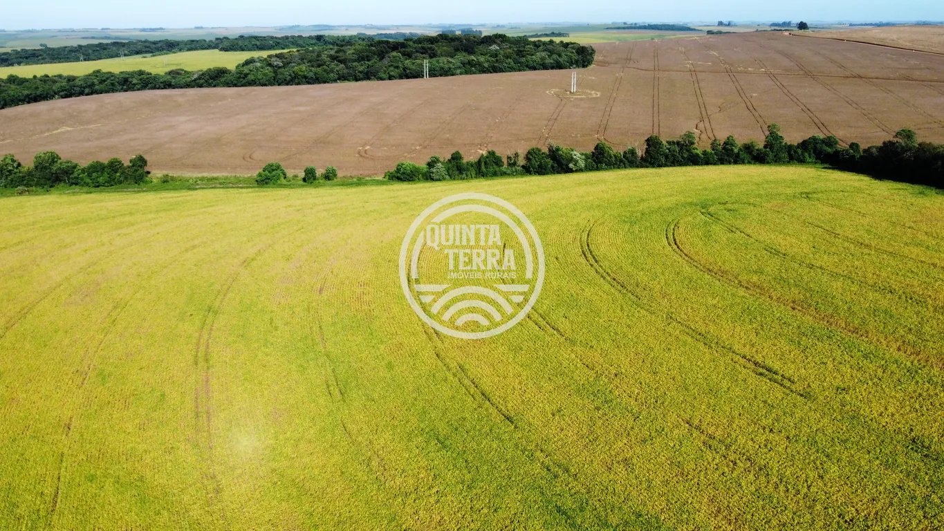 Área à Venda com 27ha - foto 1