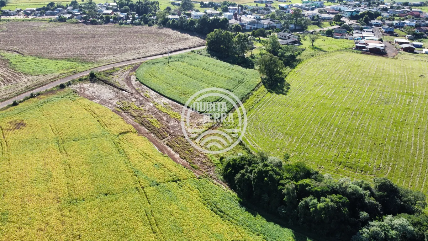 Área à Venda com 27ha - foto 4
