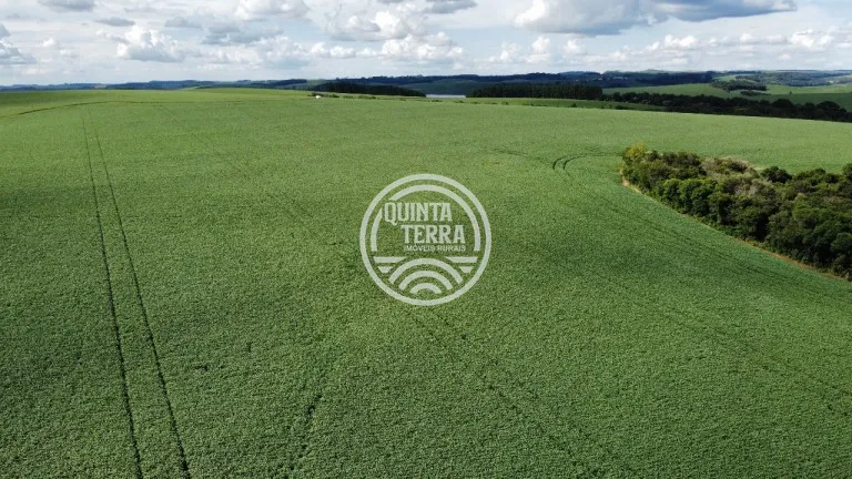 Área à Venda com 89ha - foto 8