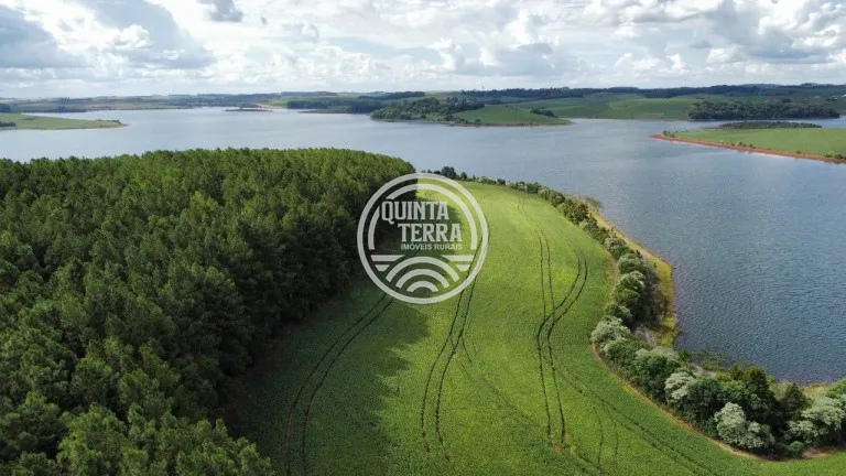 Área à Venda com 89ha - foto 3