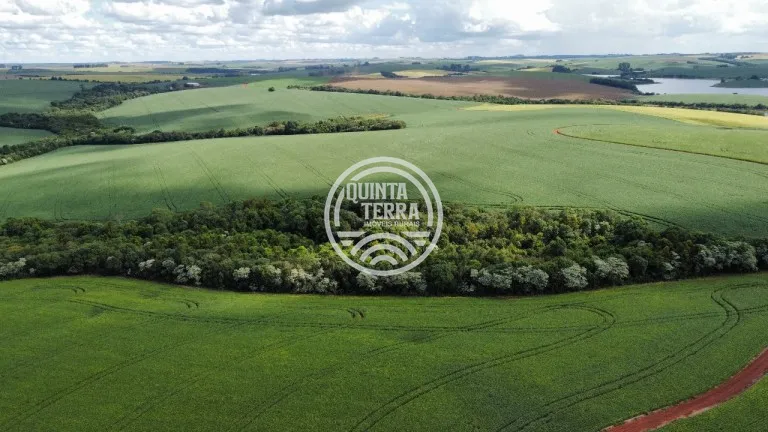 Área à Venda com 89ha - foto 6