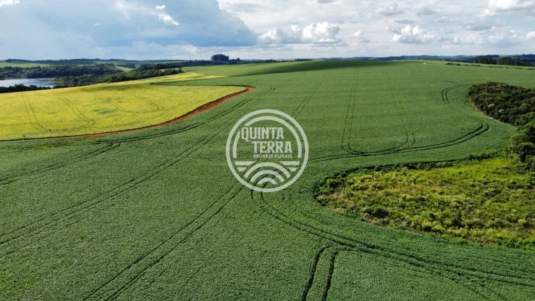 Área à Venda com 89ha - foto 10