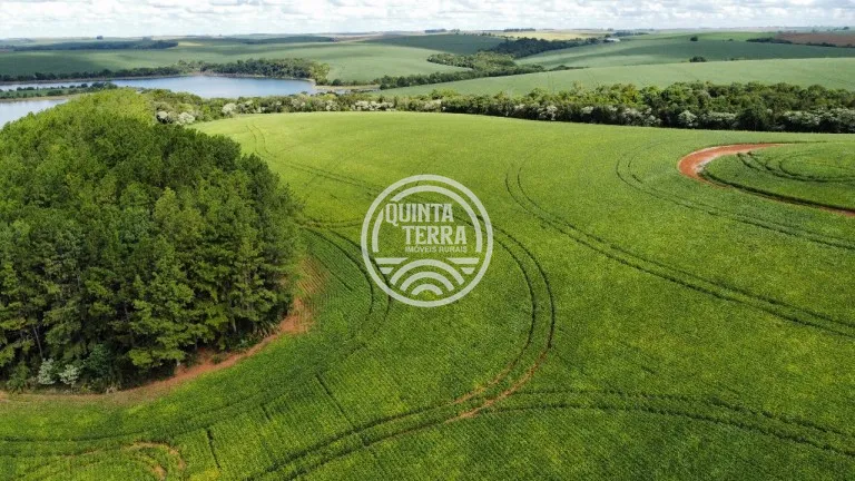 Área à Venda com 89ha - foto 11