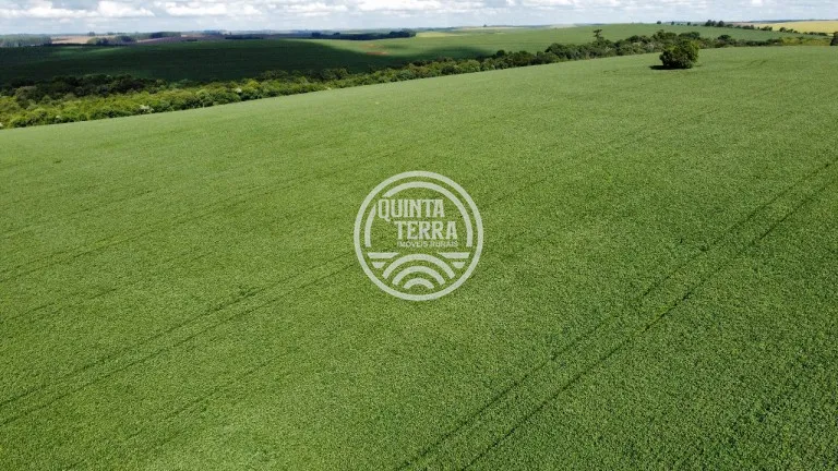 Área à Venda com 89ha - foto 12