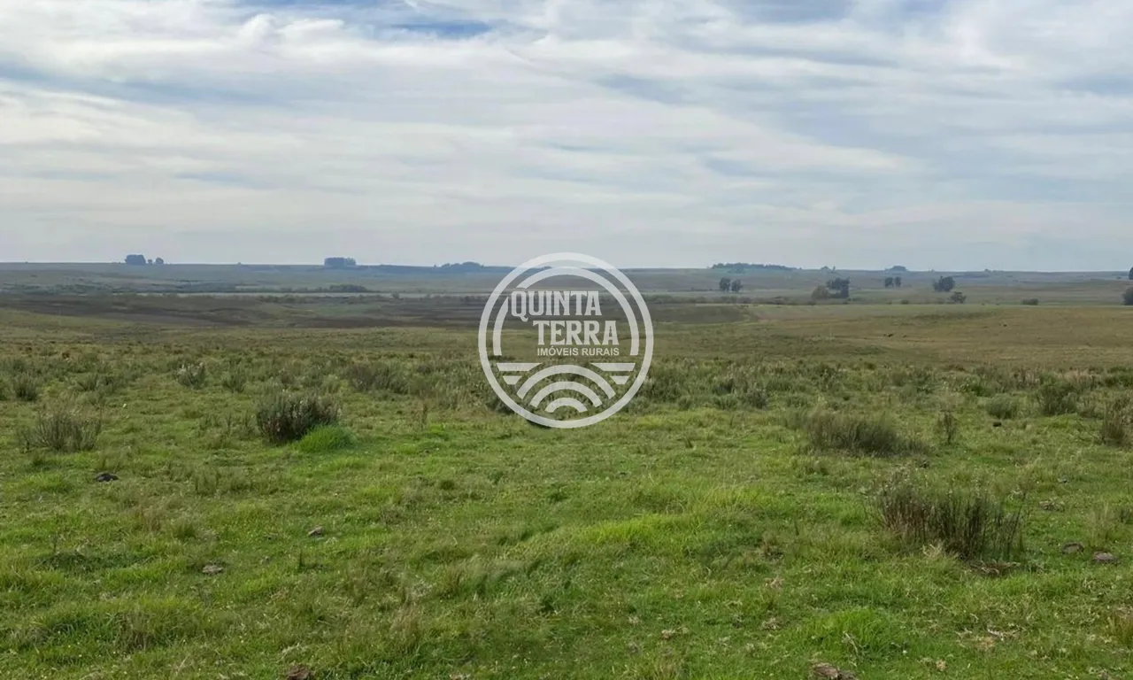 Área à Venda com 110ha - foto 3