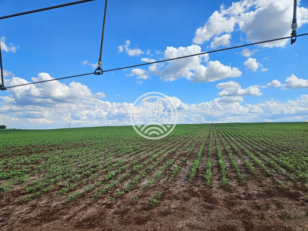 Área à Venda com 218ha - foto 1