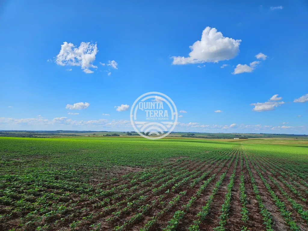 Área à Venda com 218ha - foto 2