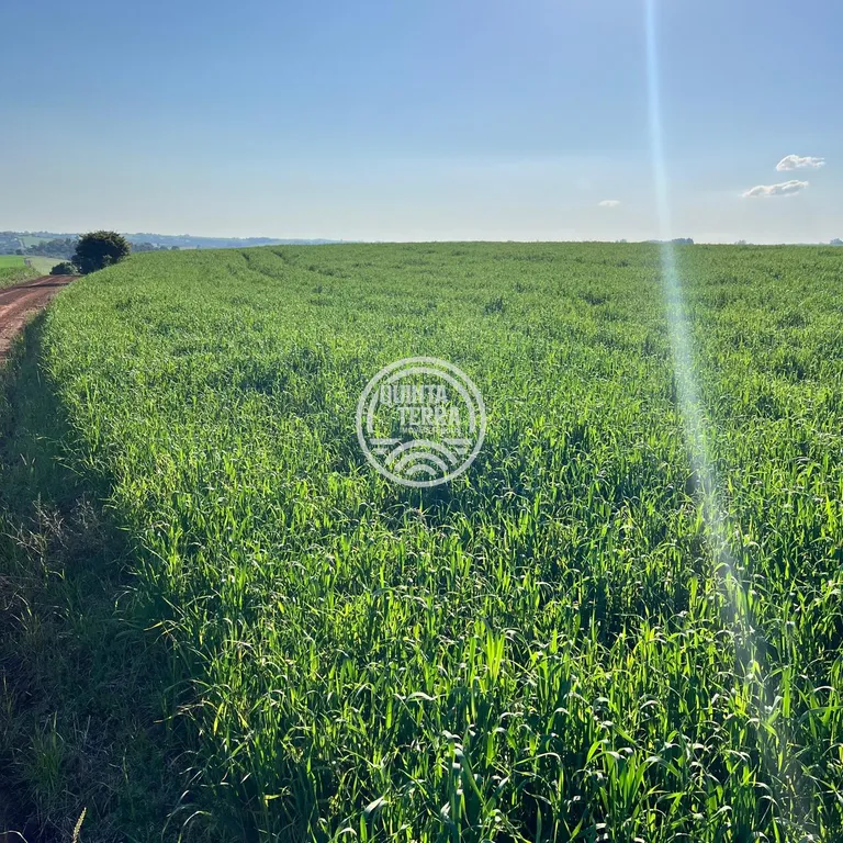 Área à Venda com 40ha - foto 1