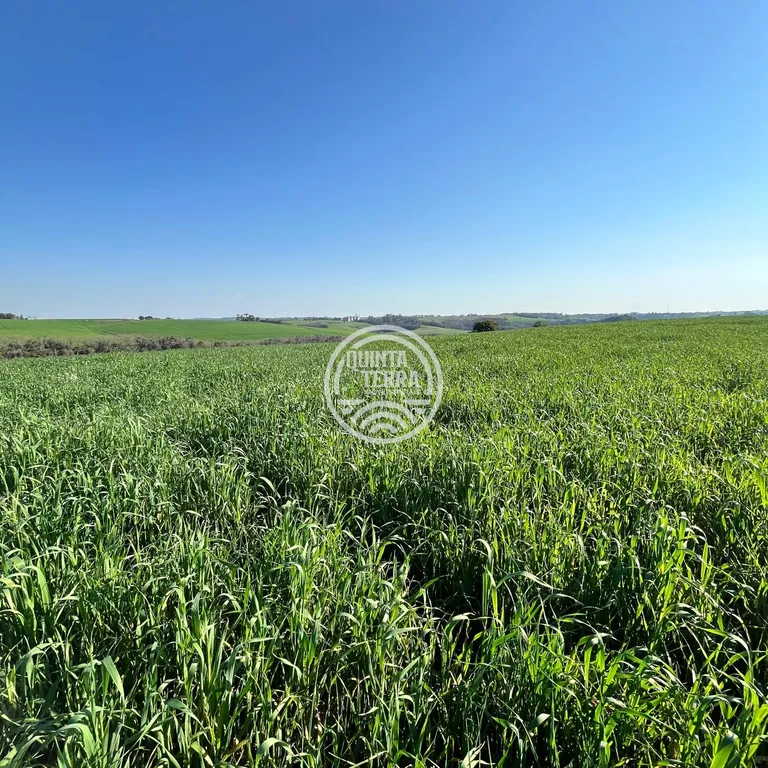 Área à Venda com 40ha - foto 4