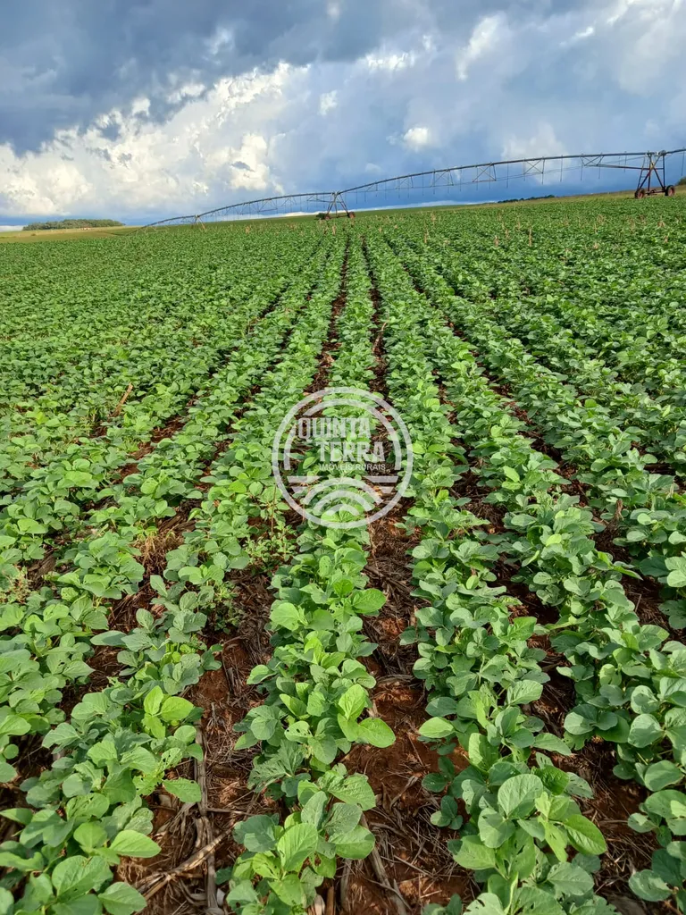 Área à Venda com 277ha - foto 1