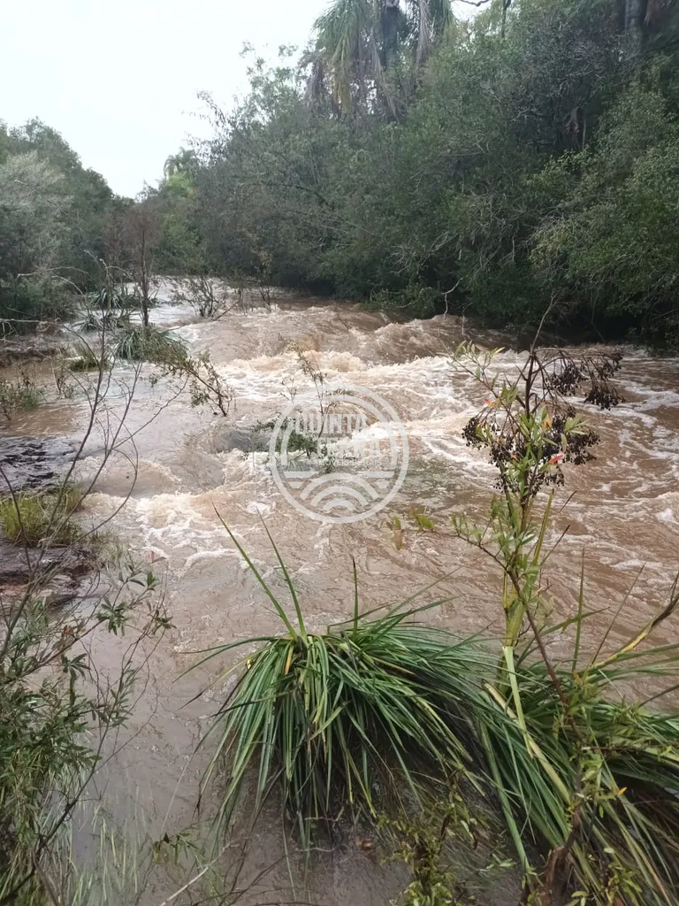 Área à Venda com 277ha - foto 8