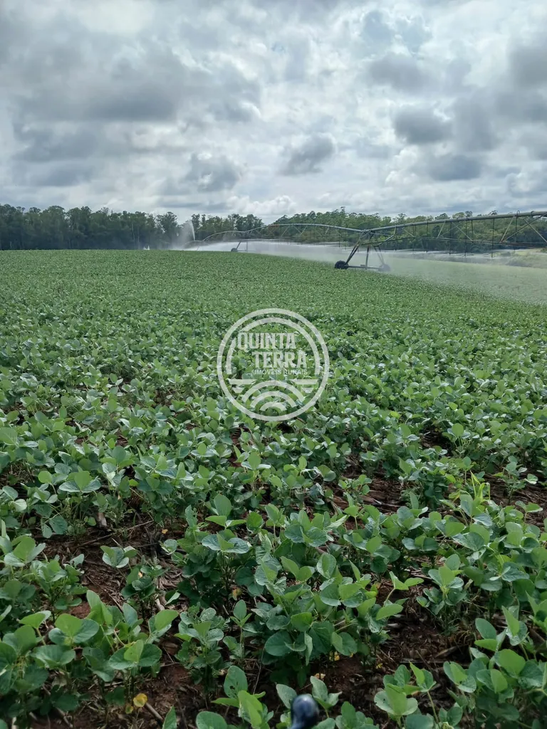 Área à Venda com 277ha - foto 11