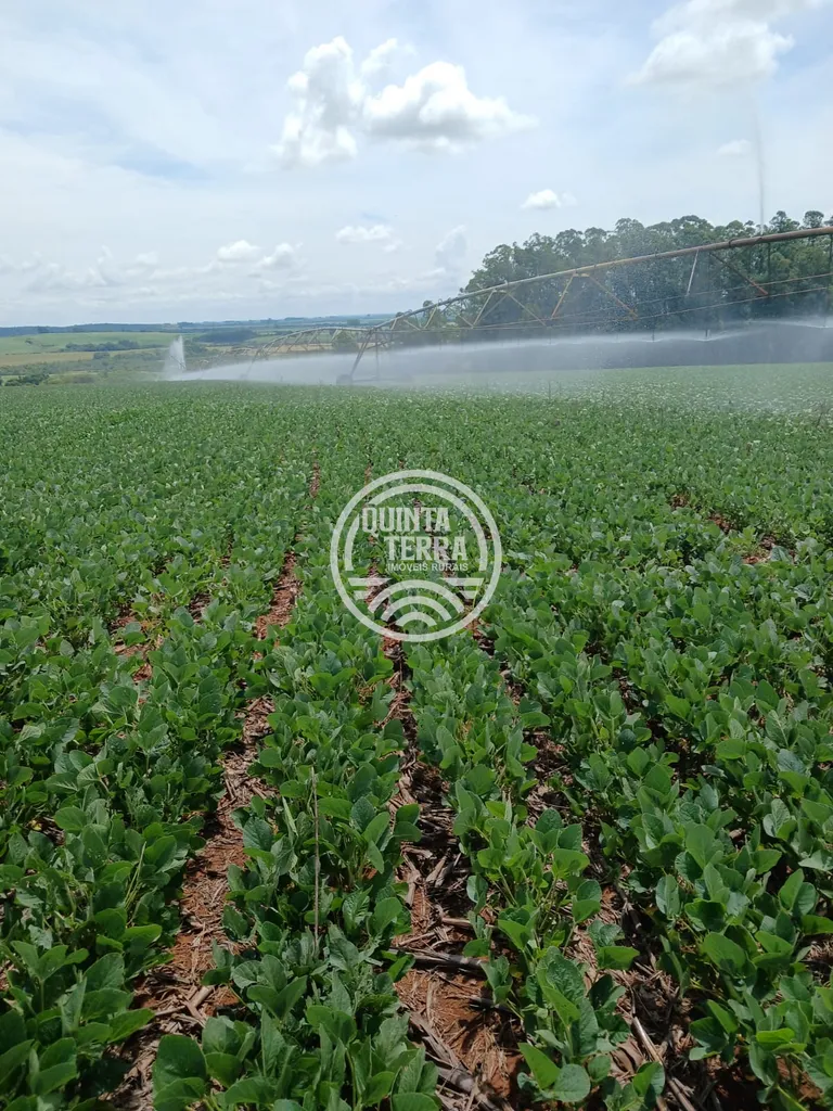 Área à Venda com 277ha - foto 12