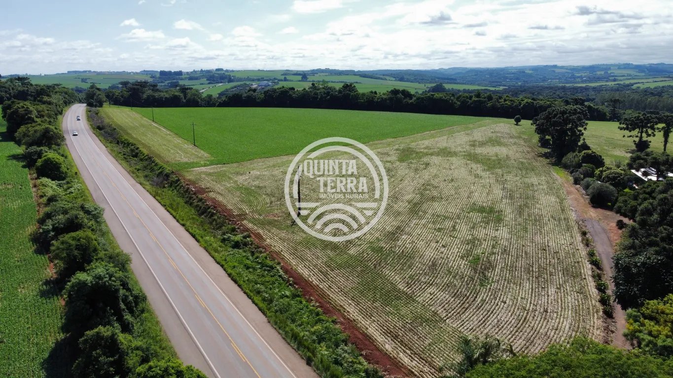 Área à Venda com 2ha - foto 4