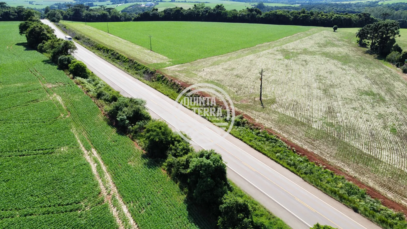 Área à Venda com 2ha - foto 8
