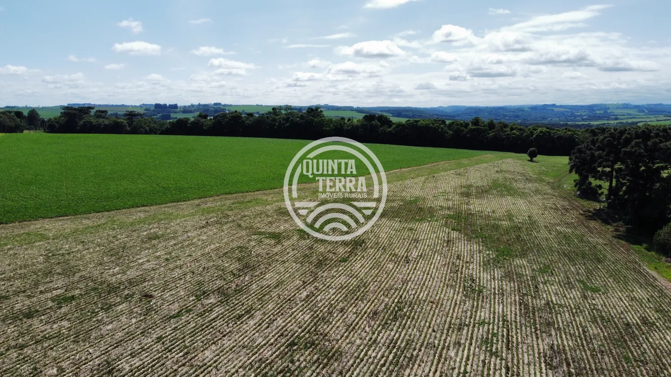 Área à Venda com 2ha - foto 12
