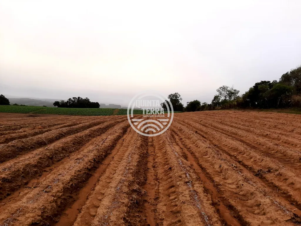 Área à Venda com 12ha - foto 4