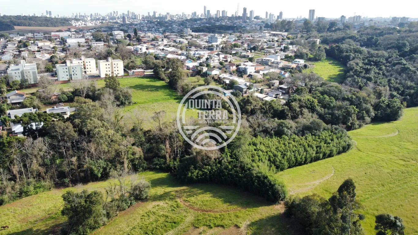 Área à Venda com 5ha - foto 5