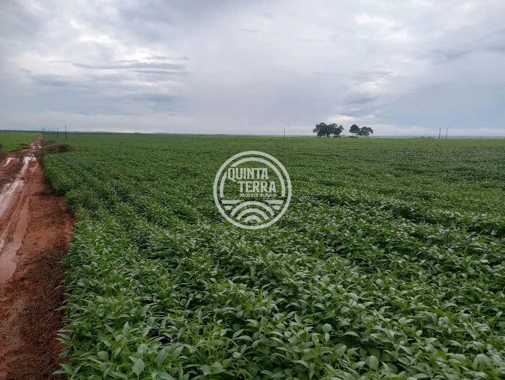 Área à Venda com 338ha - foto 1