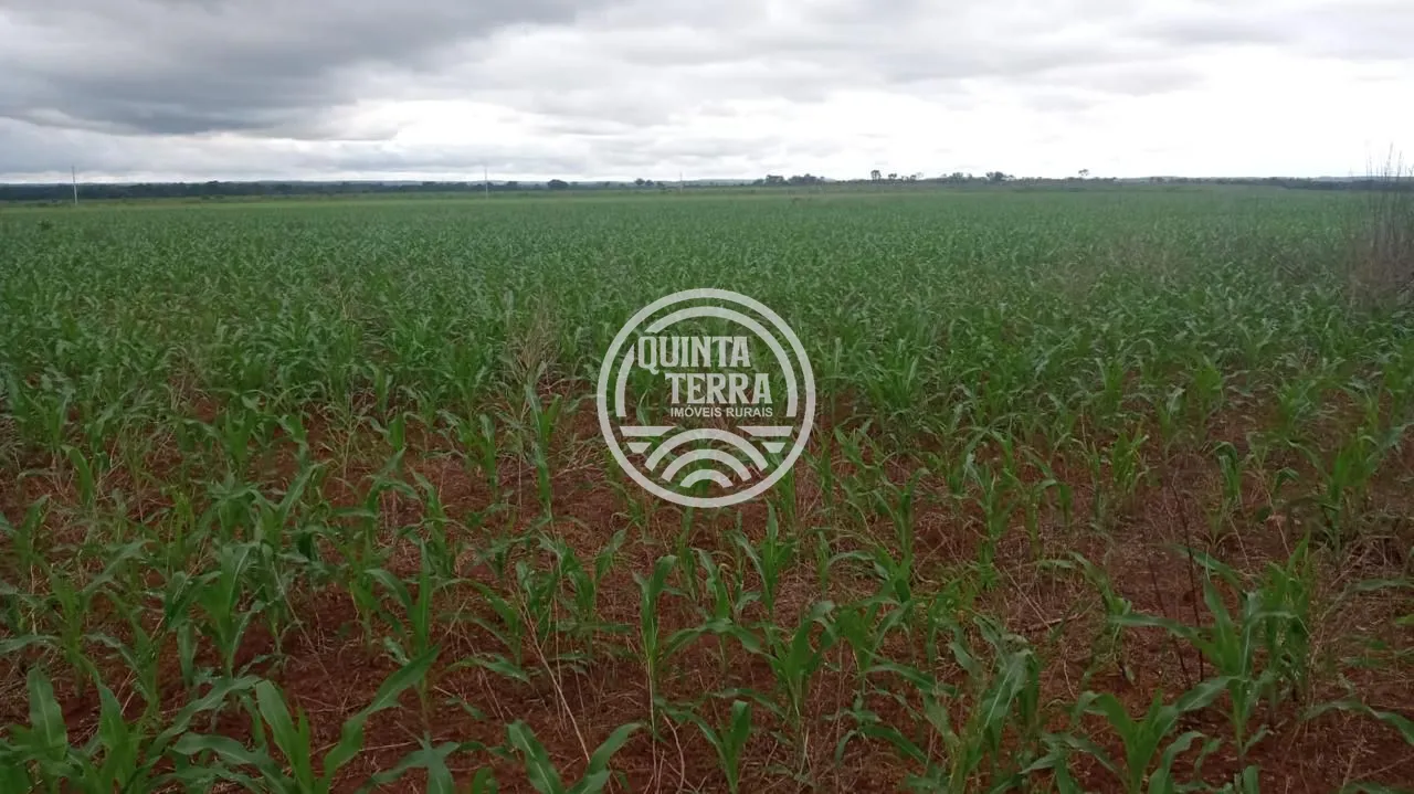 Área à Venda com 338ha - foto 5