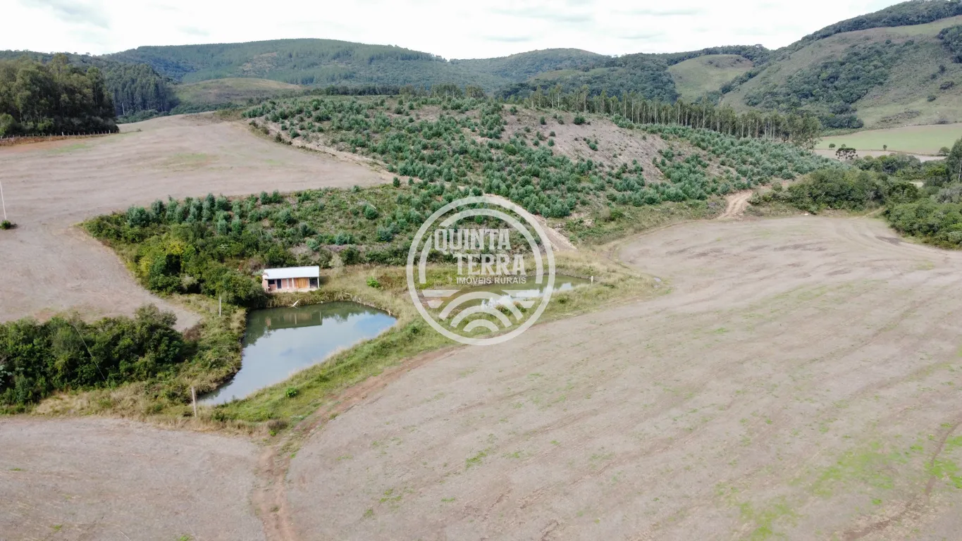 Área à Venda com 33ha - foto 1