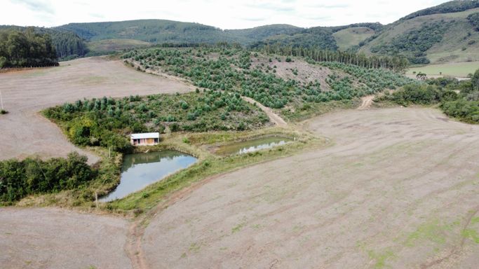 Área à Venda com 33ha Rio Grande do Sul, Soledade-RS