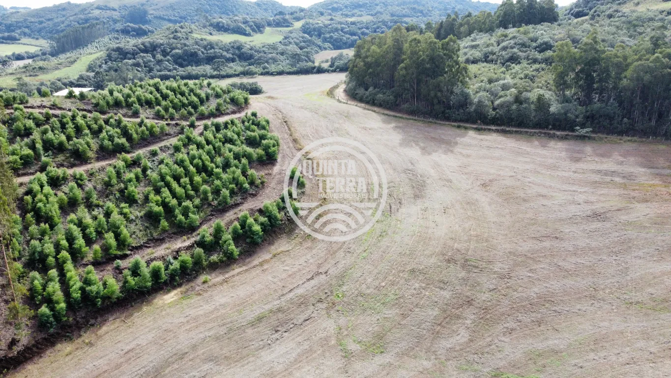 Área à Venda com 33ha - foto 6