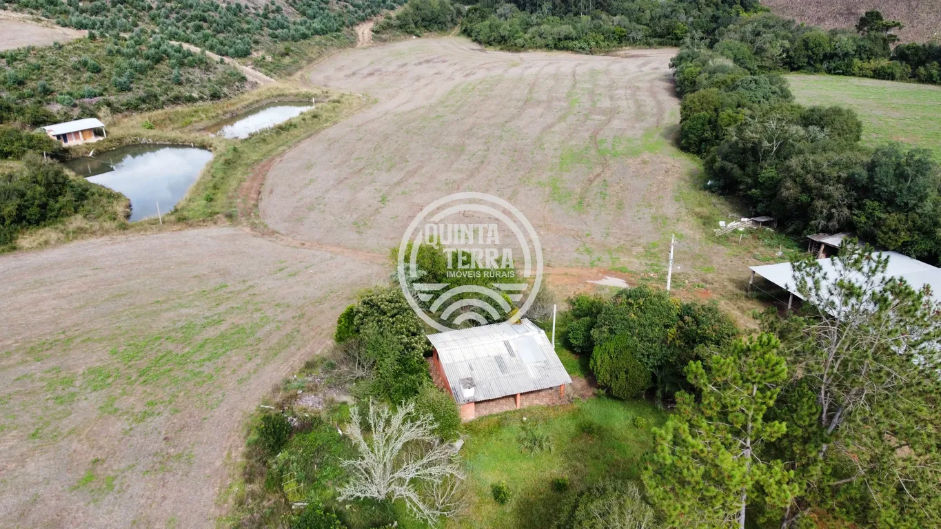 Área à Venda com 33ha - foto 8