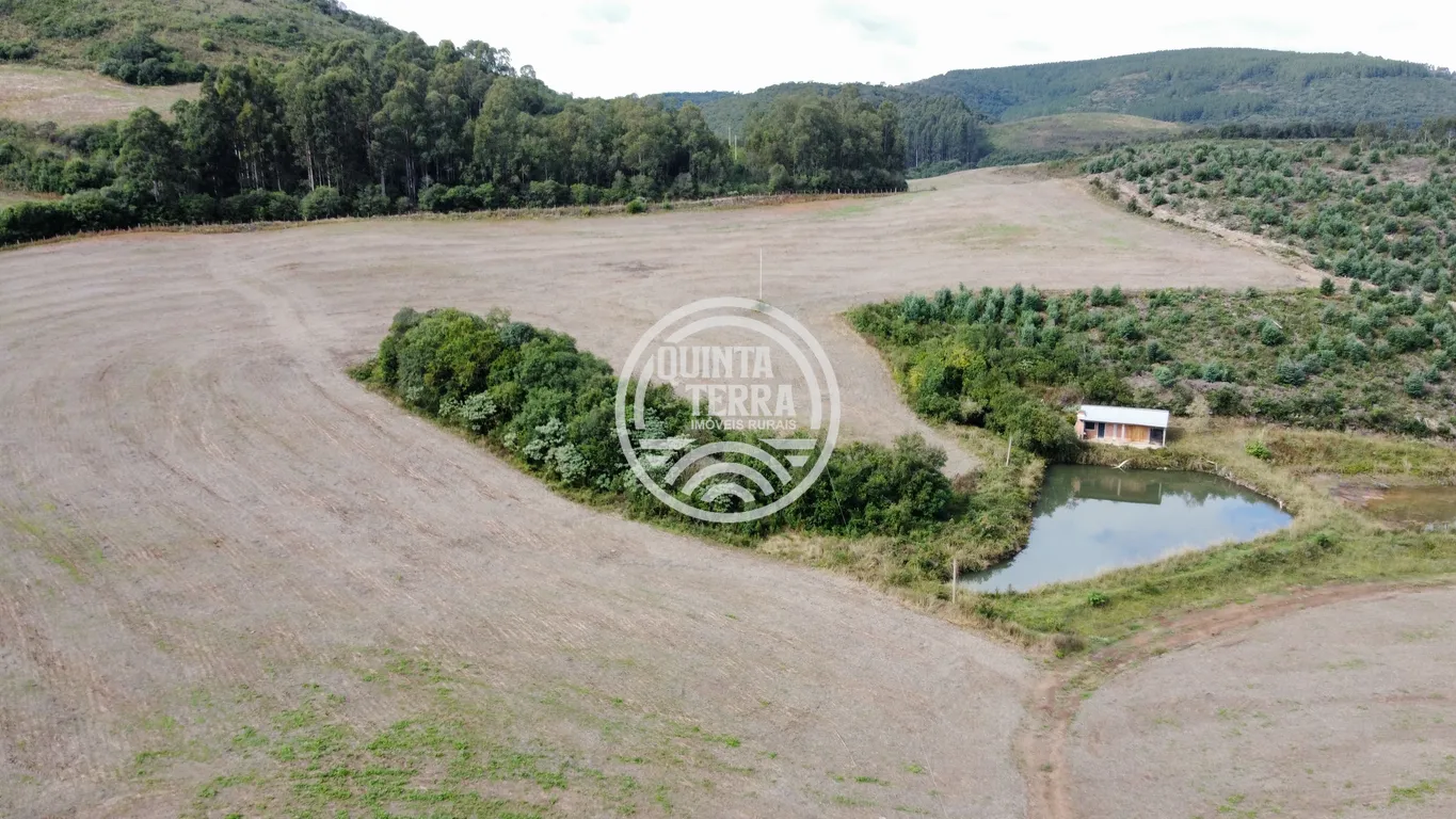 Área à Venda com 33ha - foto 12