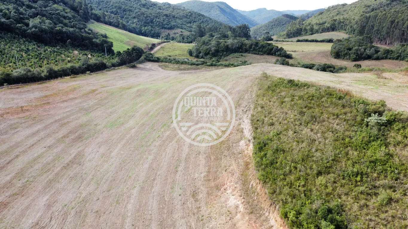 Área à Venda com 33ha - foto 13