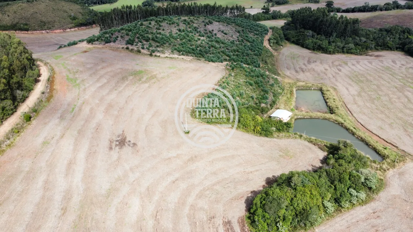 Área à Venda com 33ha - foto 15