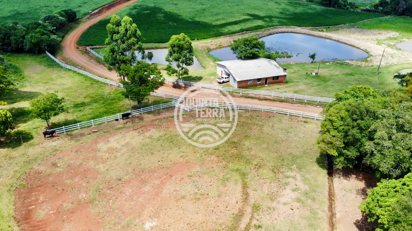 Chácara à Venda com 9ha - foto 1