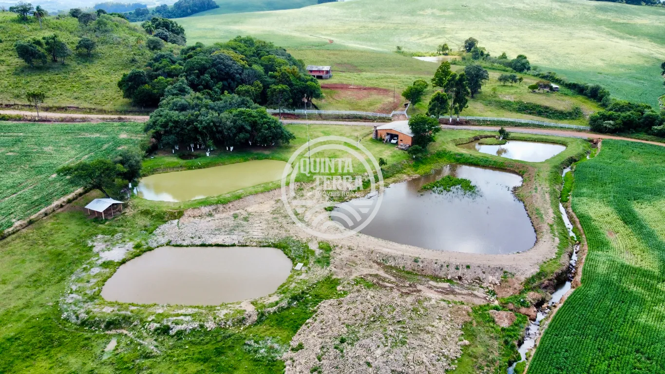 Chácara à Venda com 9ha - foto 7