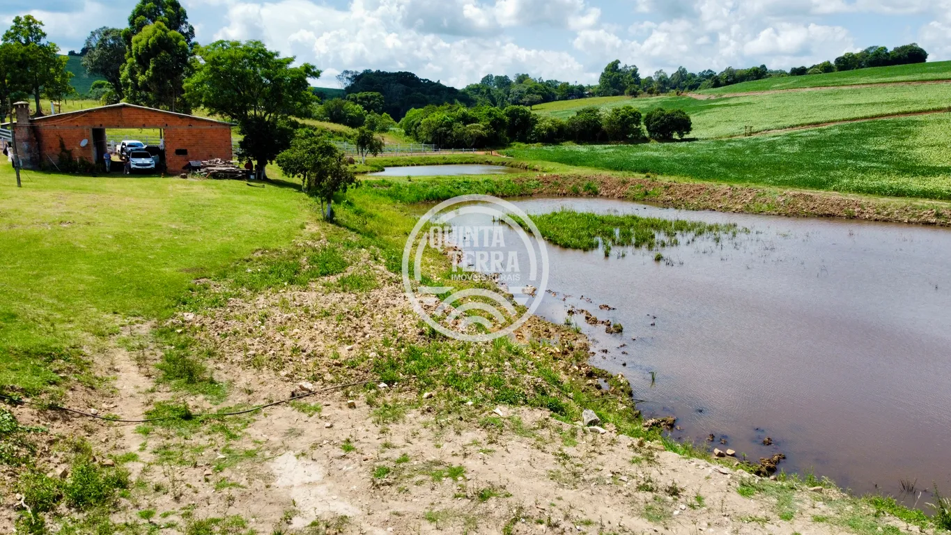 Chácara à Venda com 9ha - foto 10