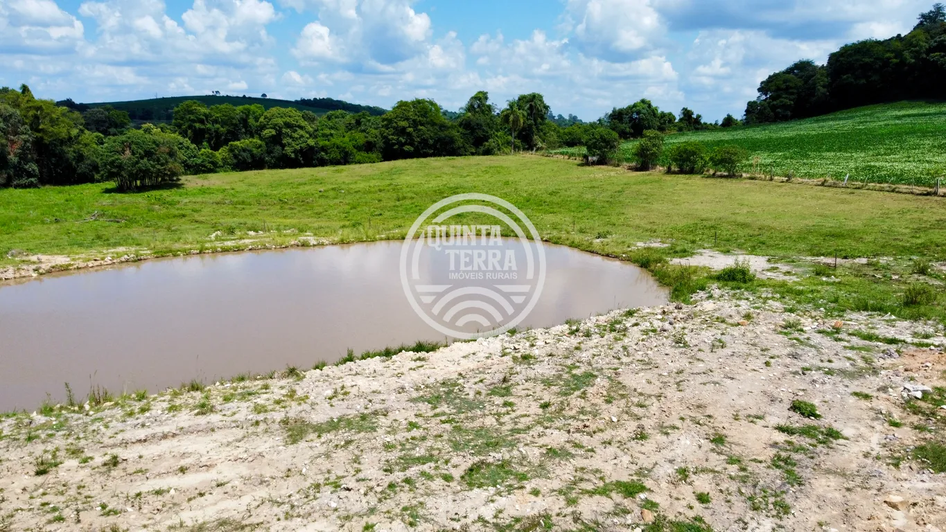 Chácara à Venda com 9ha - foto 12