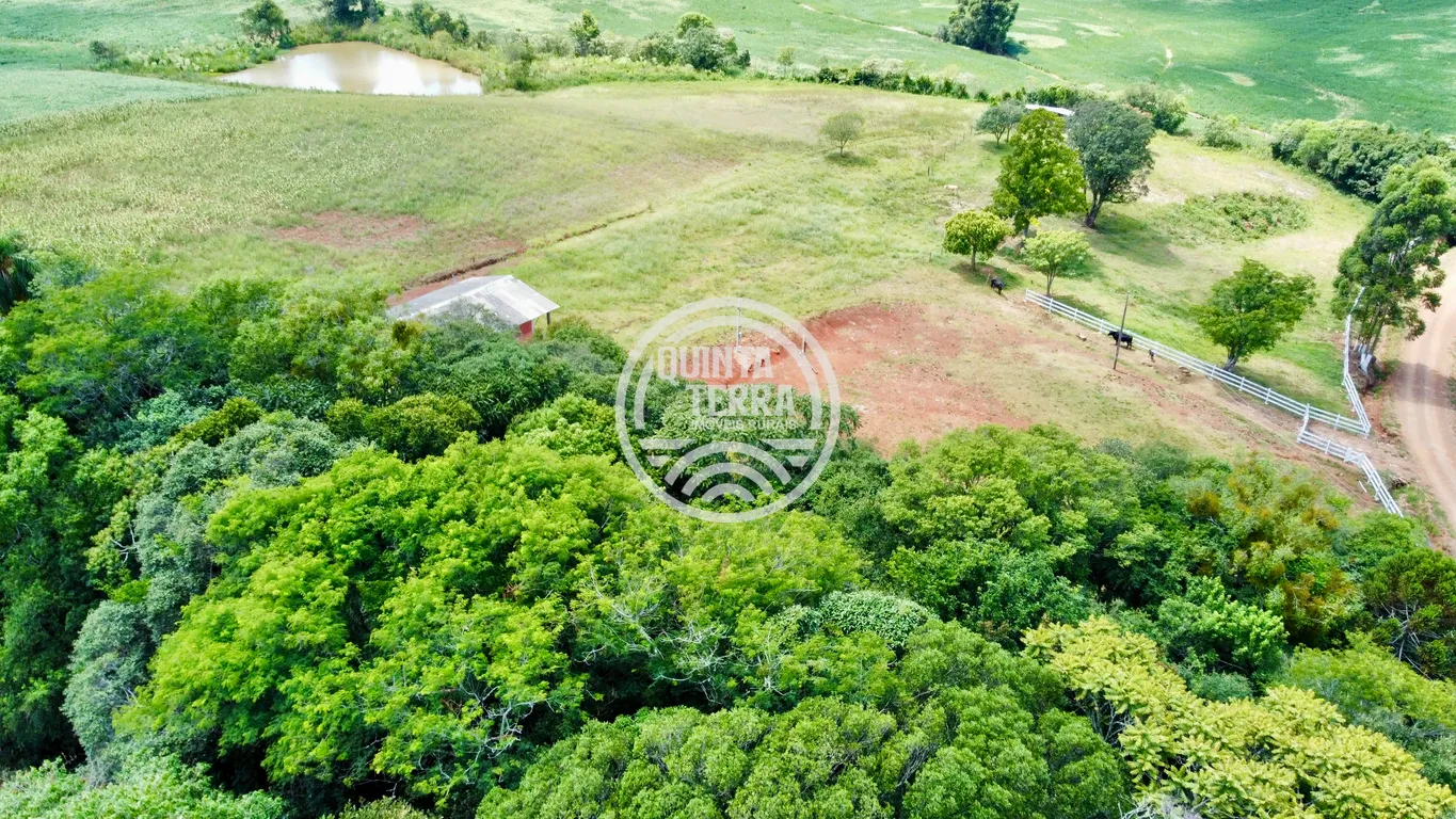 Chácara à Venda com 9ha - foto 14