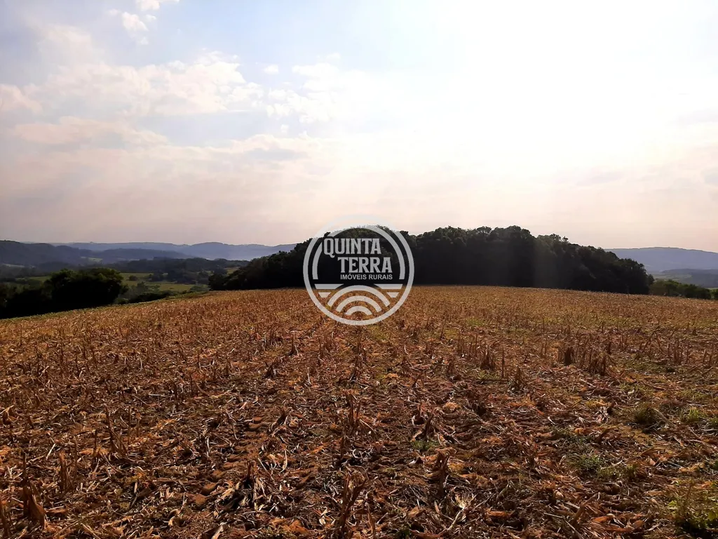 Área à Venda com 12ha - foto 3