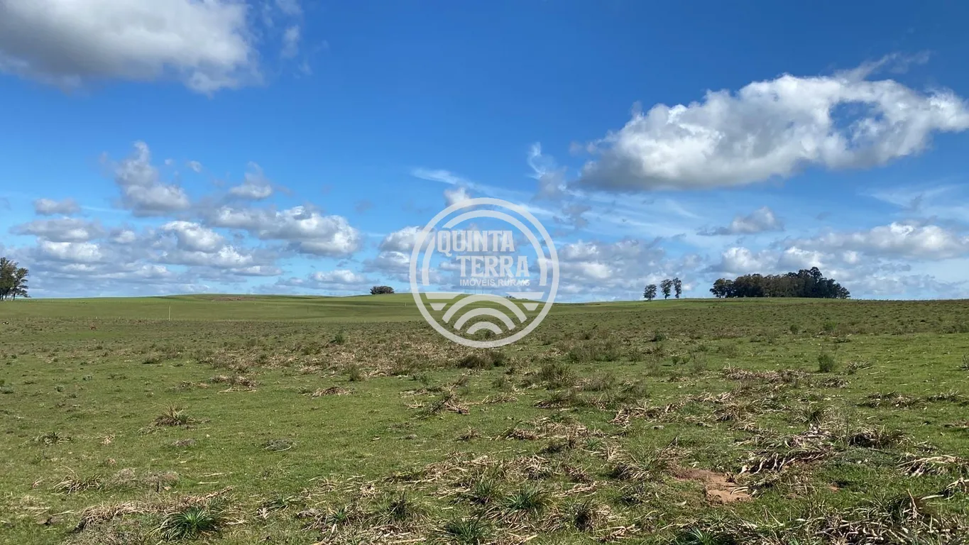 Área à Venda com 110ha - foto 1