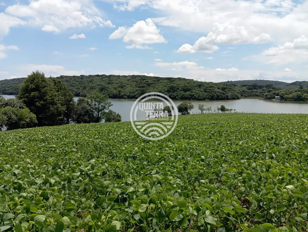 Chácara à Venda com 1133m² - foto 7