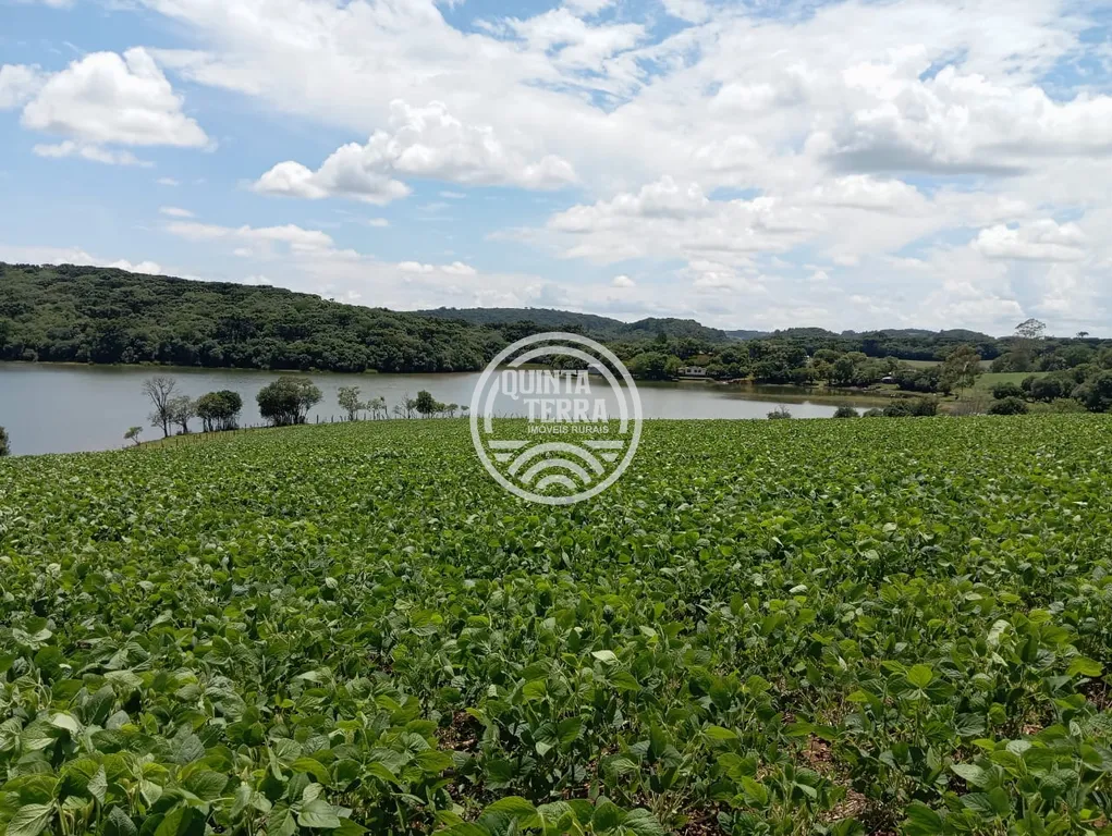 Chácara à Venda com 1133m² - foto 6