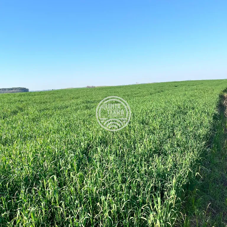 Área à Venda com 40ha - foto 2