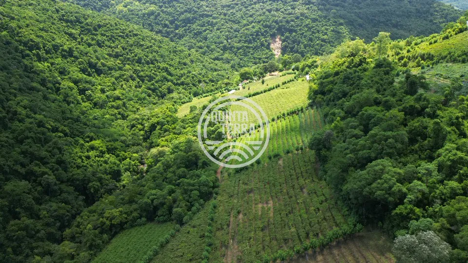 Área à Venda com 5ha - foto 2