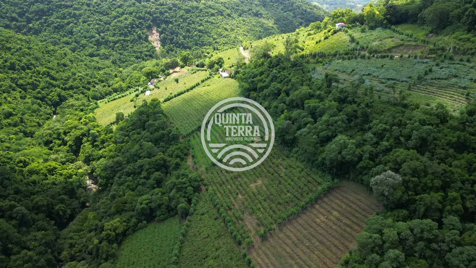 Área à Venda com 5ha - foto 3