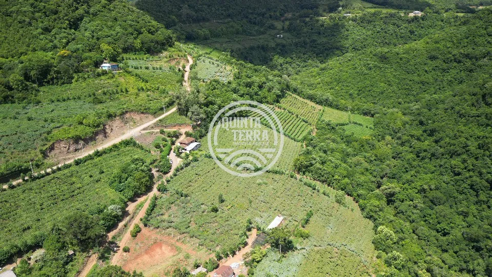 Área à Venda com 5ha - foto 4