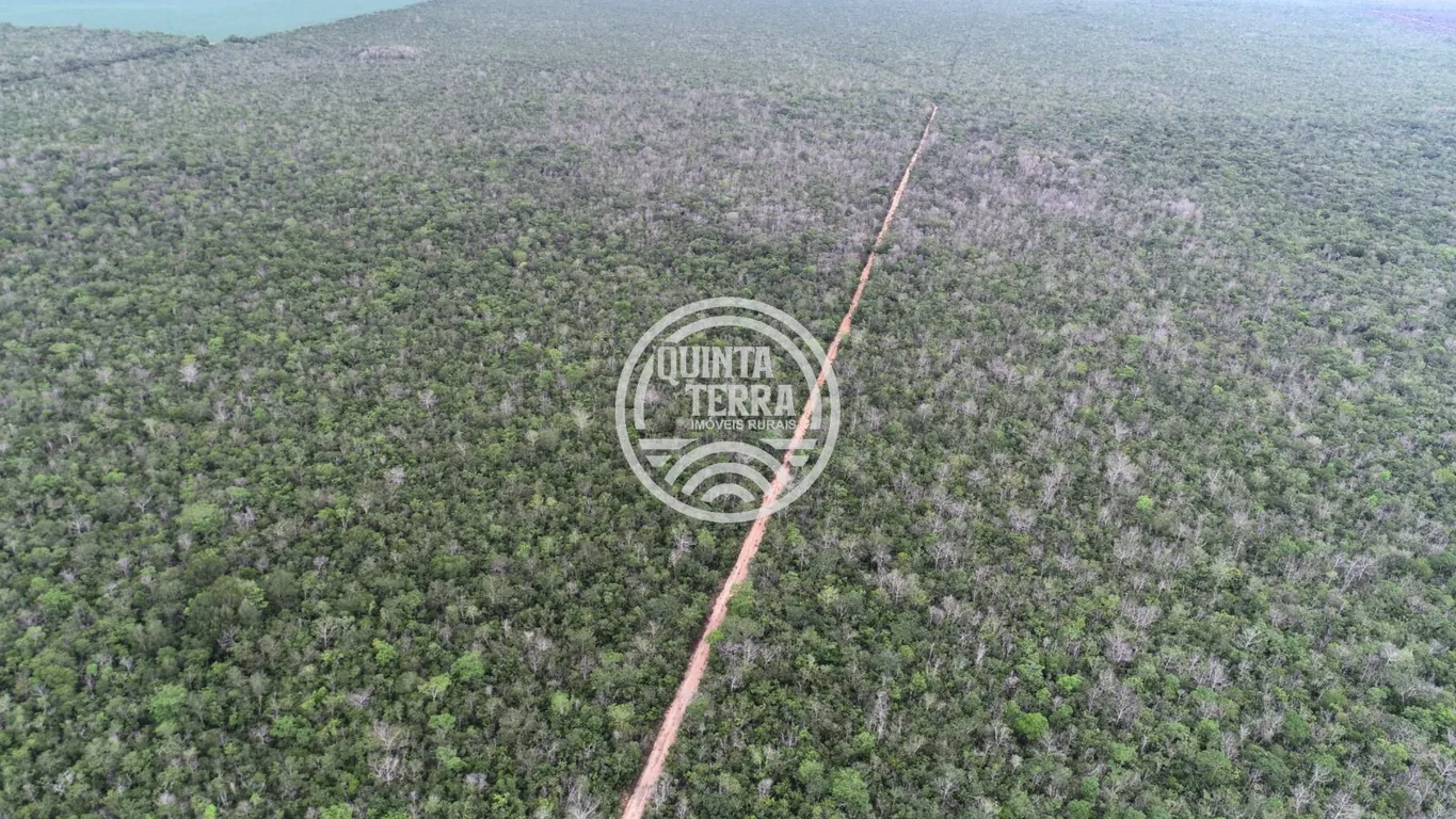 Área à Venda com 563ha - foto 3