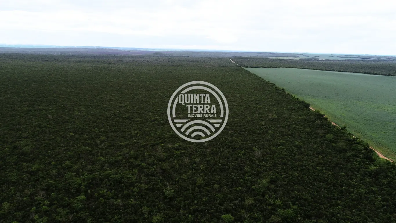 Área à Venda com 563ha - foto 7