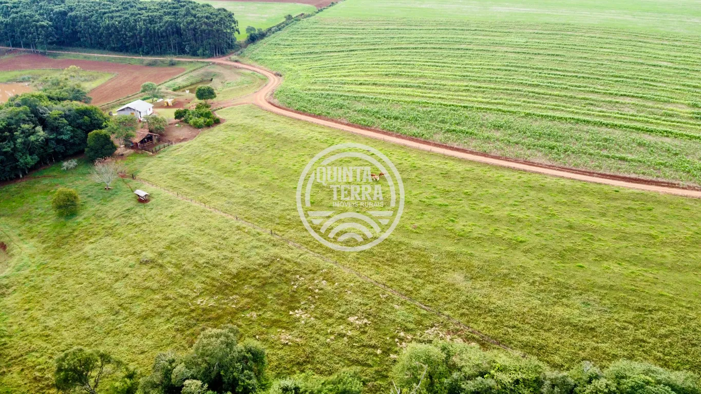 Área à Venda com 43ha - foto 7