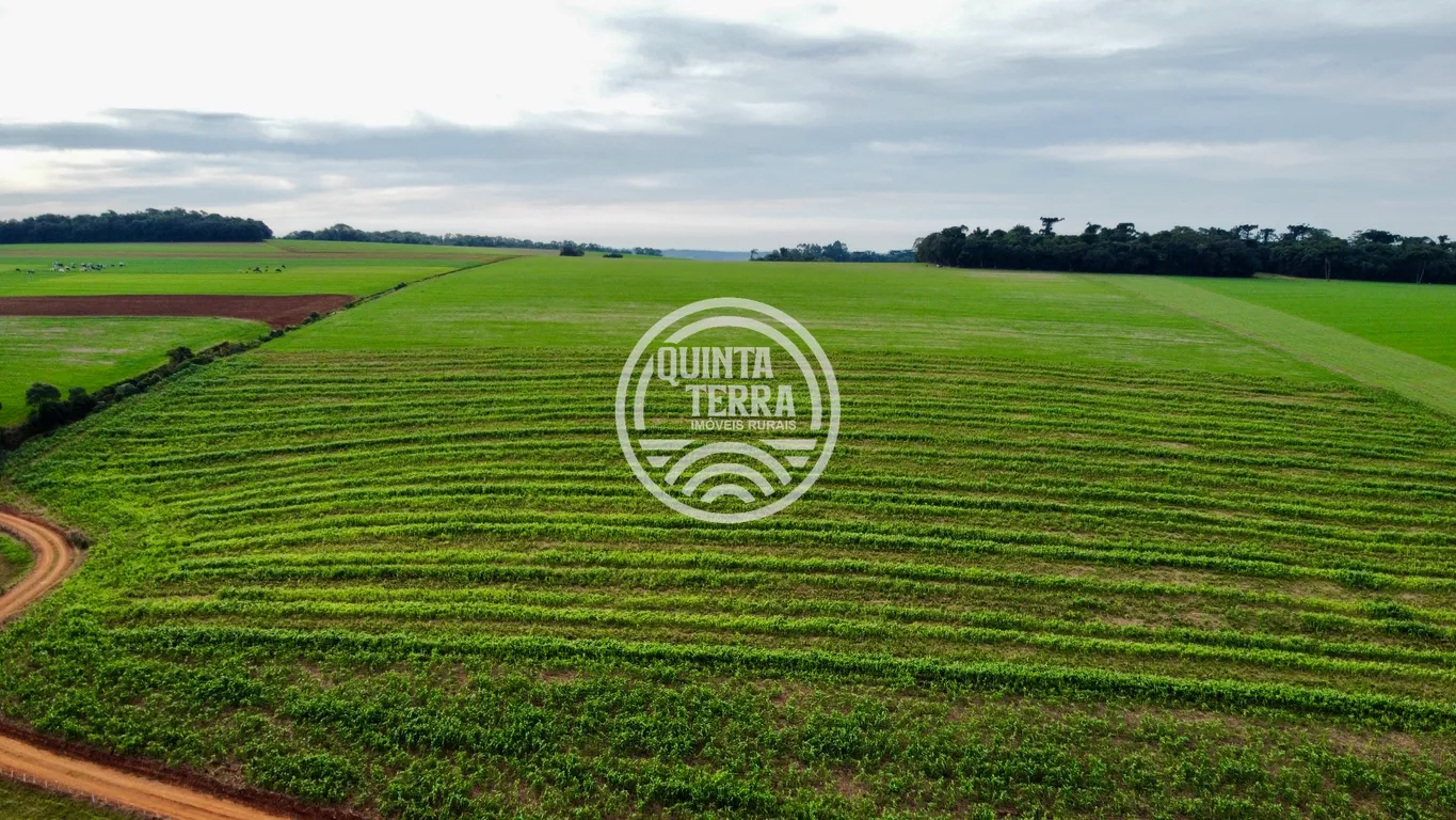 Área à Venda com 43ha - foto 8