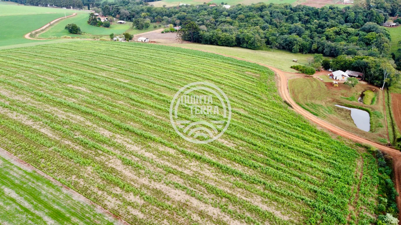 Área à Venda com 43ha - foto 10