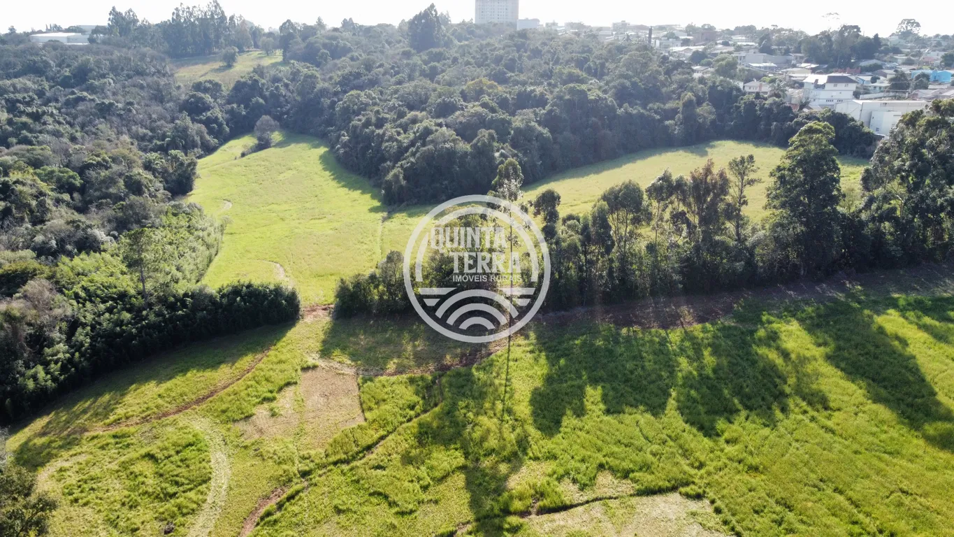 Área à Venda com 5ha - foto 8
